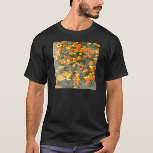 T-shirt feuille tombé sous la pluie