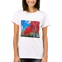 Feuilles D'Arbre Rouge Lumineux En Automne