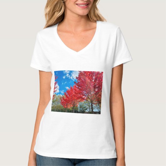 T-shirt Feuilles D'Arbre Rouge Lumineux En Automne (Devant)