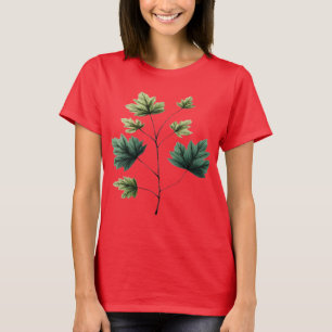 T-shirt Feuilles de Érable Vintage Tige avec Veines Détail