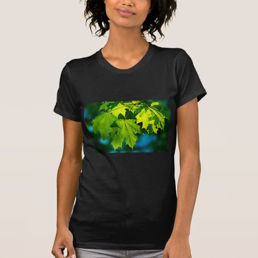 T-shirt Feuilles d'érable vert frais (Devant)