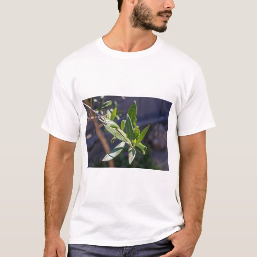 T-shirt Feuilles d'olivier (Devant)