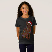 T-Shirt Feux de Noël des chats birmans Noël Amoureux des c (Devant entier)