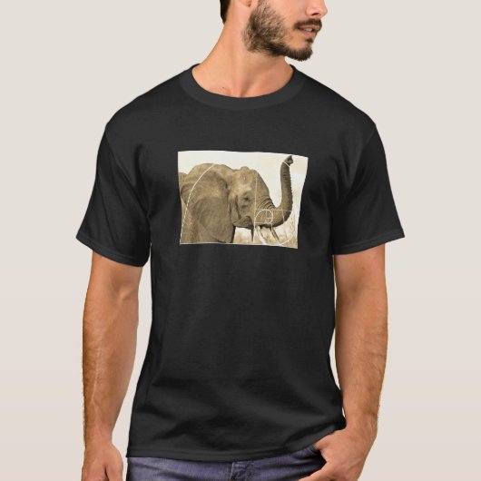 T-shirt Fibonacci Spiral Math Golden Ratio Elephant (Devant)