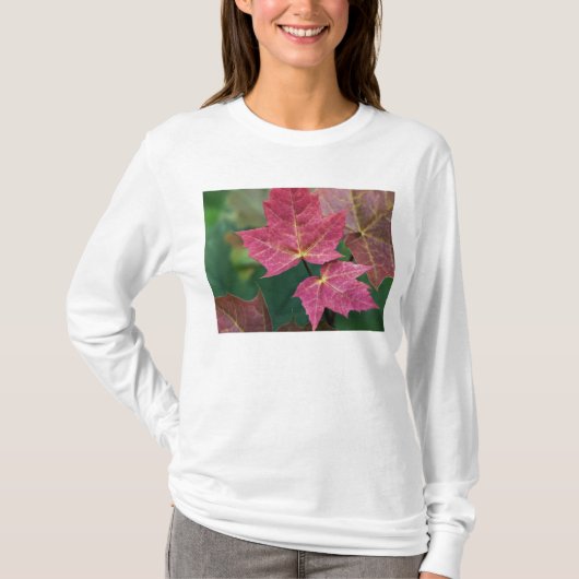 T-shirt fidèle à vous (Devant)