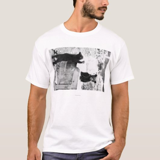 T-shirt Fille jouant avec l'ours CUB dans Seward (Devant)