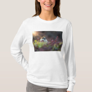 T-shirt Finition bain soleil
