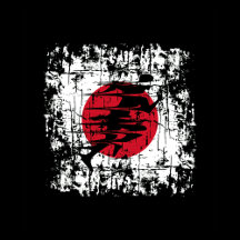 FITNESS JAPON RUNNER GYM CROSS FORMATION POIDS