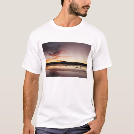 T-shirt Flamant du Chili (Devant)