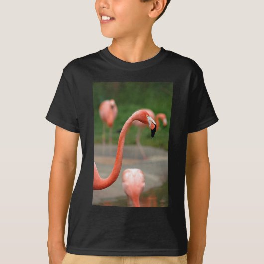 T-shirt Flamant rose rose (Devant)