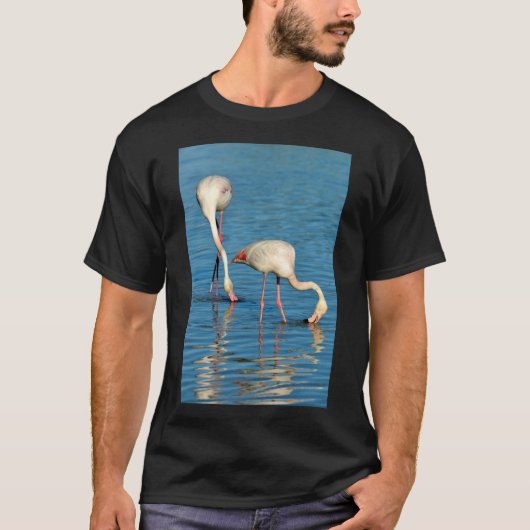 T-shirt Flamants roses en Camargue en France (Devant)