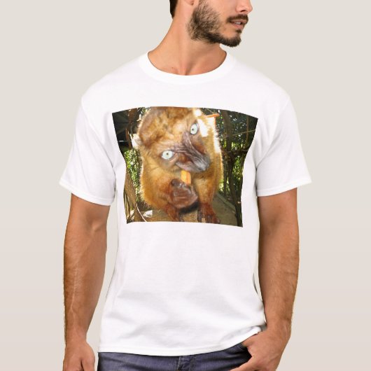 T-shirt Flavifrons (Devant)