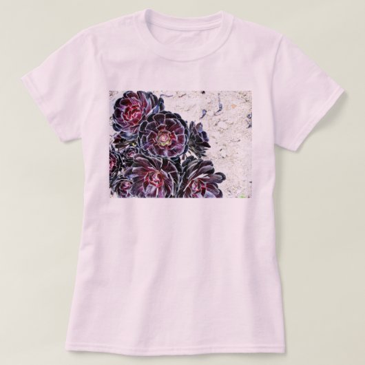T-shirt Fleur d'Aeonium sur les roches sèches (Design devant)