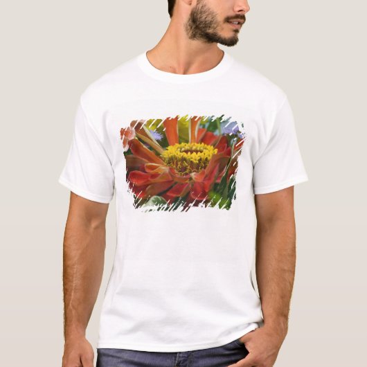T-shirt fleur de chrysanthème (Devant)
