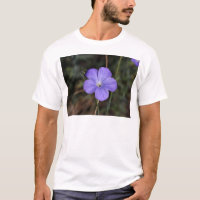 Fleur de lin éternel ou bleu