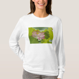 T-shirt Fleur de lotus, Nelumbo nucifera, Chine