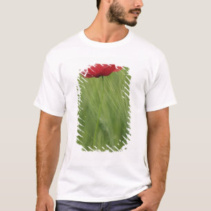 T-shirt Fleur de pavot rouge au sein de la culture du blé,