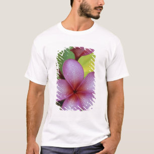 T-shirt Fleur, Plumeria sp.), Pacifique Sud, Niue