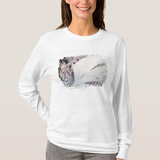 T-shirt Fleur Seires II Phaiuses (Devant)