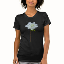 Fleur simple d'azalée blanche