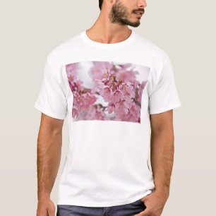 T-shirt Fleurs de cerisier Sakura rose pâle