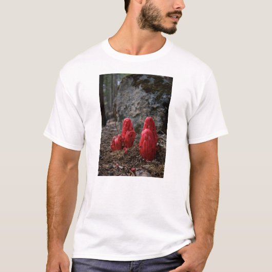 T-shirt Fleurs de neige (Devant)
