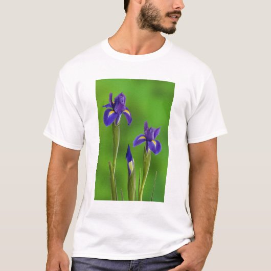 T-shirt Fleurs d'Iris (Devant)