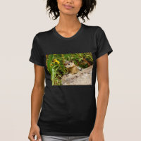 Fleurs Jaunes et petit Chipmunk mignon