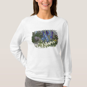 T-shirt Fleurs printanières le long d'un chemin de jardin,