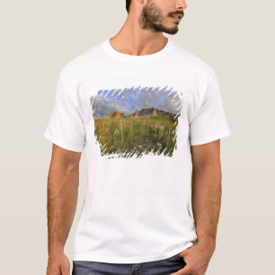 T-shirt Fleurs sauvages de la prairie dans la vallée de Ma