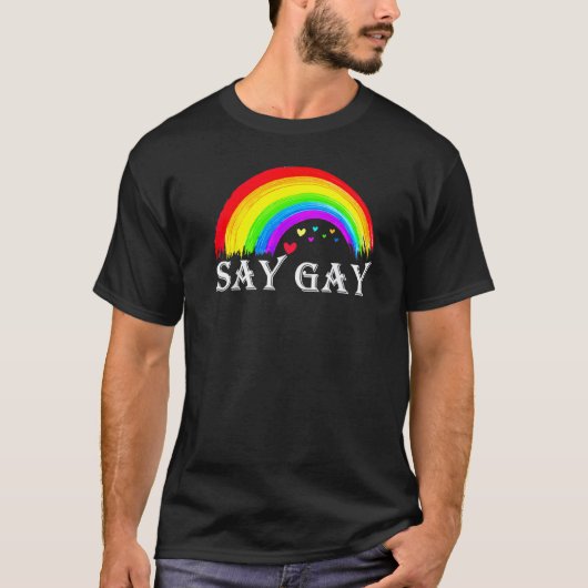 T-shirt Floride dire Gay tous les jours protéger Queer Pro (Devant)