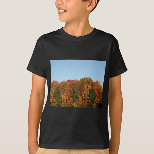 T-shirt Folithe d'automne (Devant)