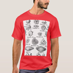 T-shirt Foraminifera J'aime les fossiles