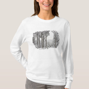 T-shirt Forêt à feuillage persistant en hiver