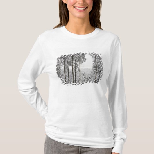 T-shirt Forêt à feuillage persistant en hiver (Devant)
