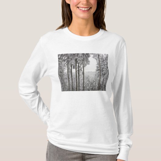 T-shirt Forêt à feuillage persistant en hiver (Devant)