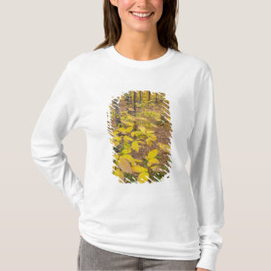 T-shirt Forêt de feuillus du nord dans le New Hampshire au