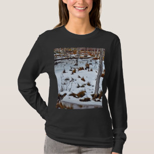 T-shirt Forêts Brouillard, la Terre De Feu, de l'Argentin