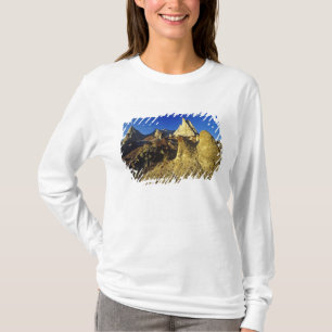 T-shirt Forêts de Badlands dans le parc provincial Dinosau