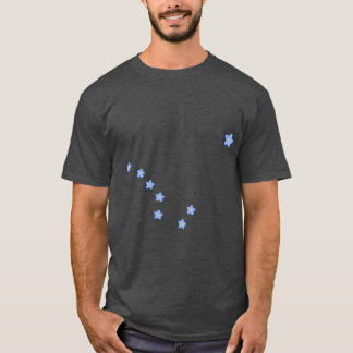 T-shirt ForgetMeNot Alaska