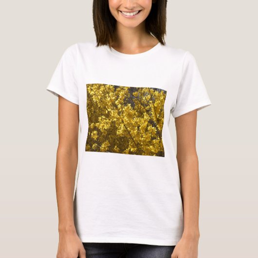 T-shirt Forsythie (Devant)