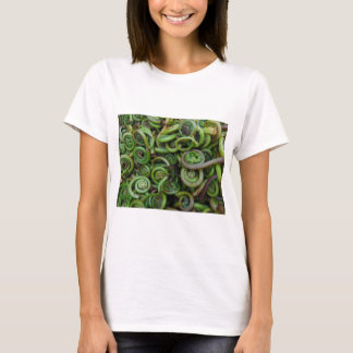 T-shirt Fougères de Fiddlehead
