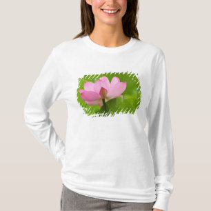 T-shirt Franklin NC, jardin d'eau de Perry, Lotus