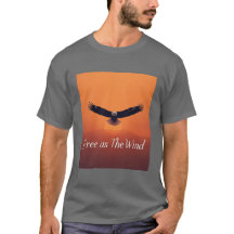 Free as the Wind | Flying Eagle Inspirational