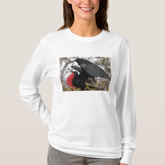 T-shirt Frégate superbe (Devant)