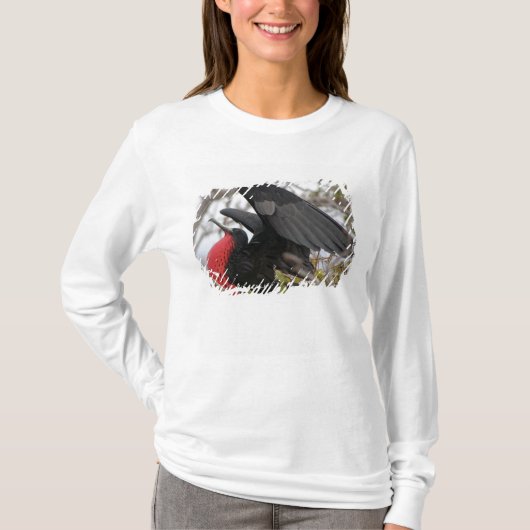 T-shirt Frigate magnifique (Devant)