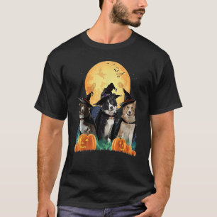 T-shirt Frontière Collies Sorcière Citrouille Halloween nu