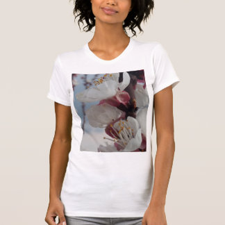 T-shirt Fruit Tree Blossoms