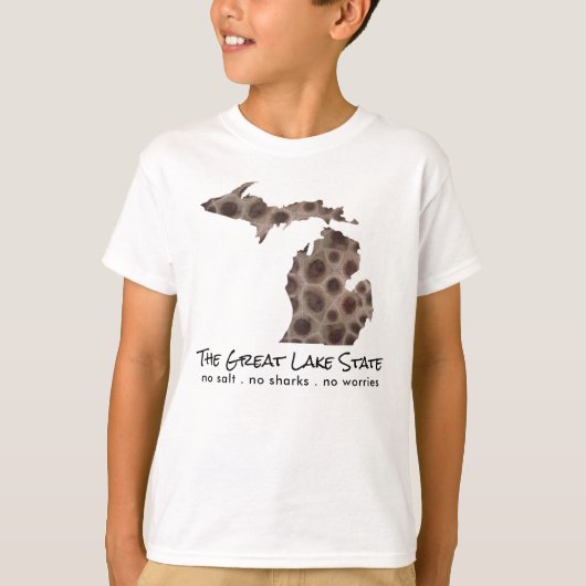 T-shirt Fun Lake Michigan Great State State pétoskey rock (Devant)