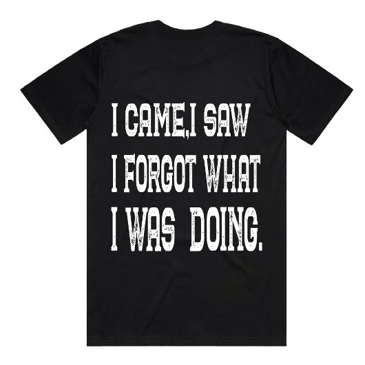 T-shirt Funny I Came I Saw Quote Sarcastic forgetful shirt